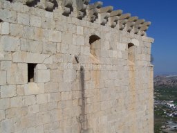 Castillo de Mula 2010